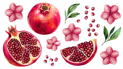 Red ripe pomegranate fruit and pomegranate cut, pomegranate flower branch and leaves, watercolor pomegranate illustration, botanical illustration