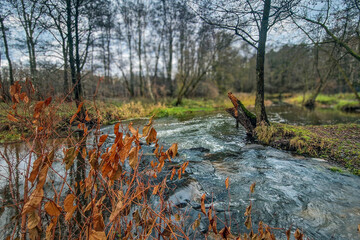 Autumn on the river on a cloudy day.