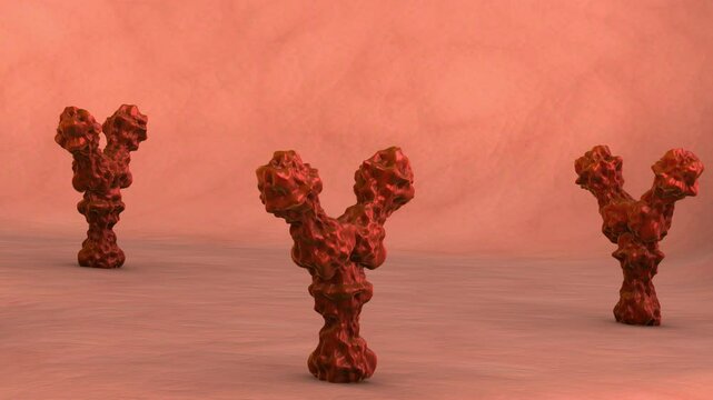 Antibodies Binding to Receptors on Human Cells