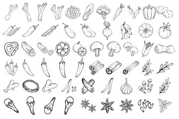 Vegetables illustration pen drawing