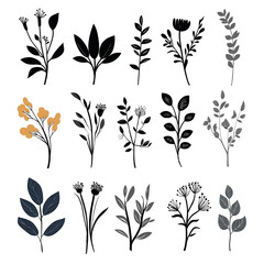 Transparent Watercolor Flowers and Grass Pattern Collection
