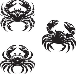 Detailed Crab Silhouette - Coastal Wildlife Vector Illustration