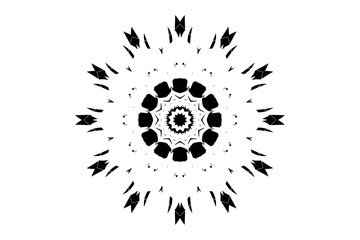 Elegant Mandala with Concentric Circles and Lotus Petals
