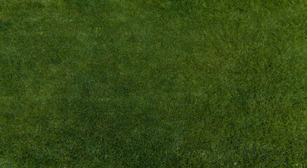 Fototapeta premium Lush Green Grass Lawn Background, Banner