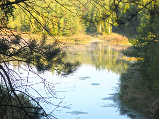 Obraz premium forest lake is visible behind the trees