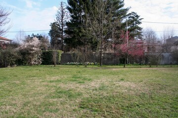A large grassy field is present, adorned with trees in the background