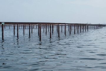 Obraz premium Oyster Farming Platforms in the Calm Waters of Sète