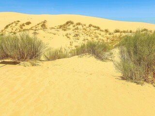 Sarykum or Sary-Kum is a large sand dune located in Dagestan, Russian Federation