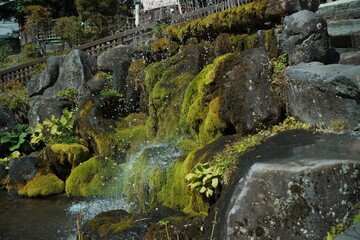山から溢れる自然の水