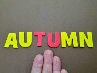 Autumn subtitle or  text with gray background.