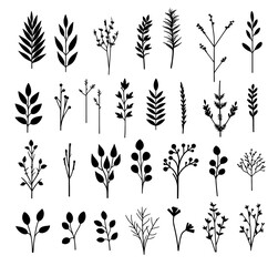 Branches and leaves, vector silhouettes of leaves and branches arranged artistically, showcasing elegant, minimalist black nature elements