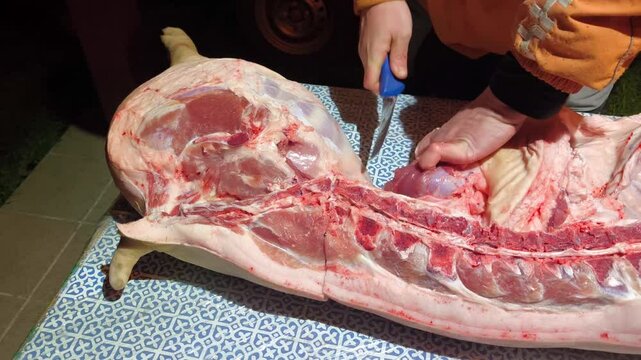 A traditional pork butcher in the Czech Republic expertly trims fat and prepares cuts of meat on a clean surface