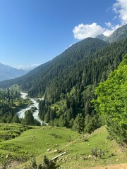 Blue sky, trees and hills of Kashmir - Heaven on earth 