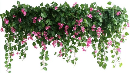 Fototapeta premium Lush Green Vines with Delicate Pink Flowers Cascading Down