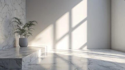 Minimalist White Interior with Marble Floor and Plant