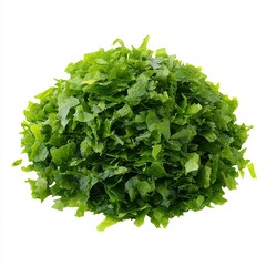 Obraz premium Macro Shot of Fresh Green Leafy Vegetables on White Background