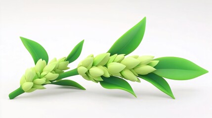 Fototapeta premium Close-Up of Lush Green Plant with Delicate Flowers and Vibrant Leaves on a Clean White Background