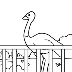Ostrich Zoo Animal Coloring Book