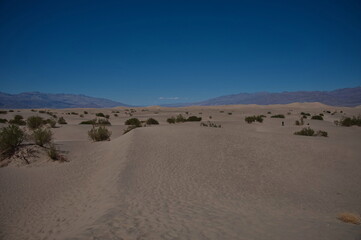 Rolling dunes of Mesquite Flat in Death Valley National Park