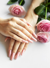 Fototapeta premium Woman showing her beautiful pastel pink manicure near pink roses