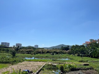 Naklejka premium ブンタウの農地