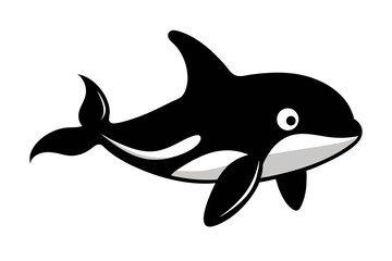 orca killer whale isolated on white background