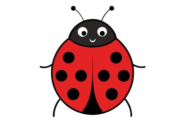 illustration of a ladybug