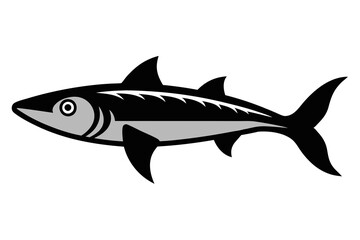 barracuda fish isolated on white