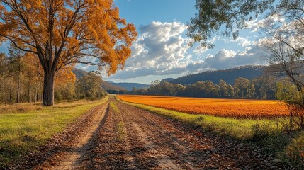 Naklejka premium A rural landscape with dirt grass and trees.
