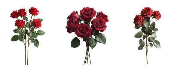 Red Roses Isolated on Transparent Background