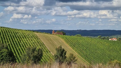 Fototapeta premium Paysage de vignobles du Béarn