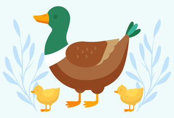 Duck Concept Illustration Stylish and Beautiful
