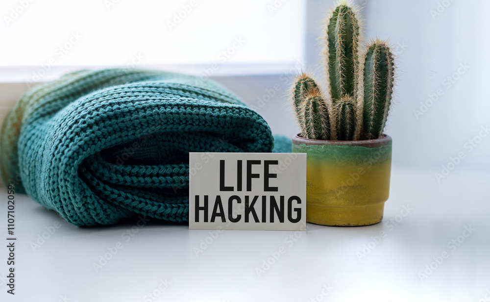 Poster white card with text life hacking. green sweater and cactus on a white background