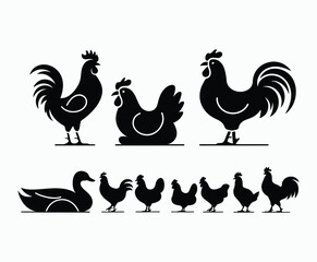 Obraz premium Natural Poultry Silhouettes Vector Collection Template