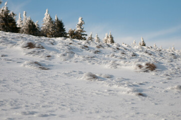 Obraz premium Snow-Covered Mountainside in Winter Mountain Landscape, Karkonosze National Park