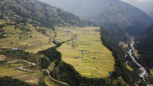 aerial view of terrace paddy farmland in Nuwakot, Nepal.