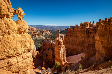 Thor's Hammer in Bryce Canyon
