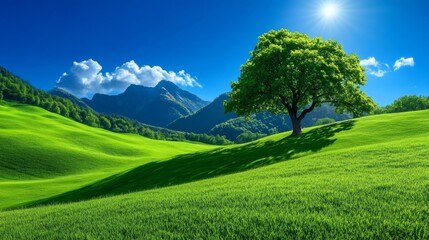 Obraz premium Majestic Lone Tree on Rolling Green Hills with Mountain Views