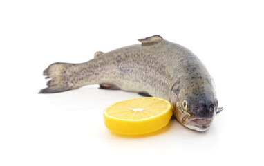 Fresh trout with lemon.