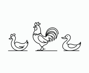 Elegant And Simple Line Rooster and Hen Silhouette Vector Template