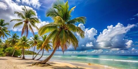 Fototapeta premium Stunning Palm Beach with Golden Sand on the Caribbean Coast Under a Blue Sky, Featuring Lush Palm Trees and Gentle Waves for a Tropical Paradise Experience