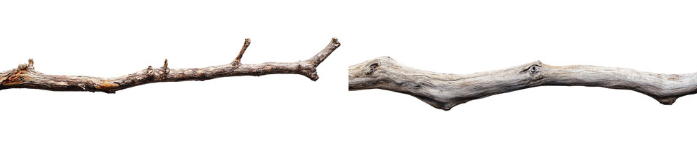 Naklejka premium set of a driftwood branch isolated on a transparent background