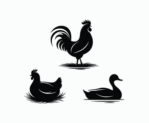 Fototapeta premium Poultry Silhouettes Collection Vector