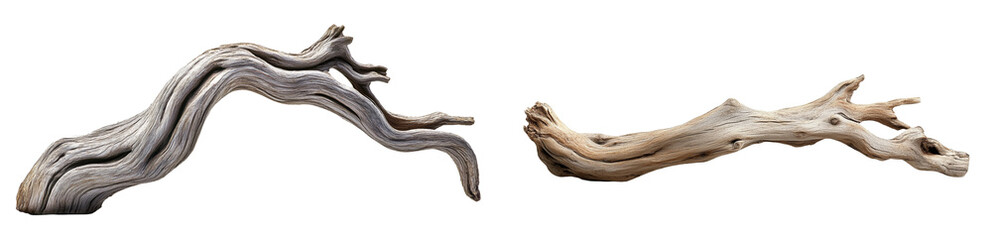 Obraz premium set of a driftwood branch isolated on a transparent background