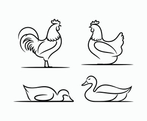 Fototapeta premium Smooth Line Poultry Silhouettes Vector Template