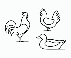 Fototapeta premium Smooth Outline Poultry Silhouette Vector Template