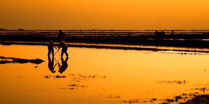 A tranquil rice field at sunset, with water reflecting the orange sky and workers harvesting the crop. The peaceful rural setting evokes simplicity and tradition.