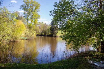 Summer landscape by the river background