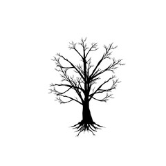Obraz premium collection of black autumn tree icons without background