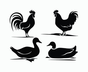 Various Bold Poultry Silhouettes Vector Template